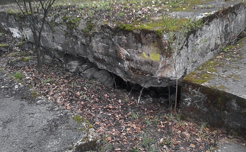 Польшу призвали объяснить закупку яхт и саун на деньги для
