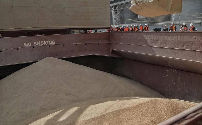 Польское радио сообщило о готовности ЕК запретить импорт зерна