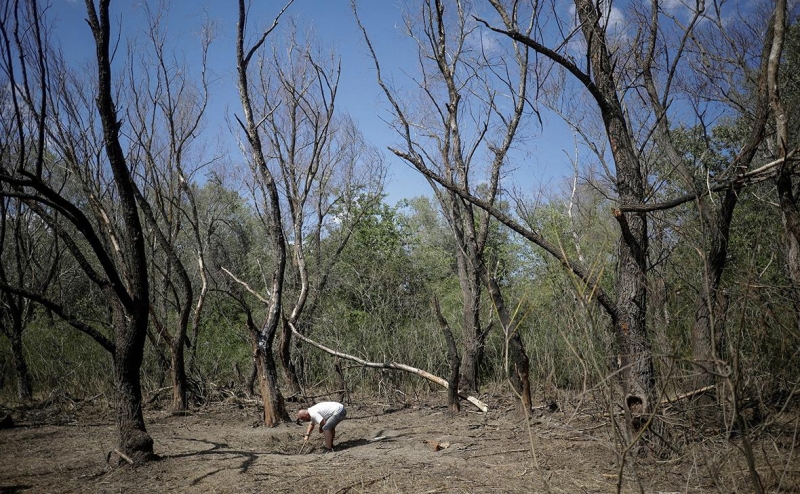 Посланника России вызвали в МИД Румынии из-за обломков беспилотника