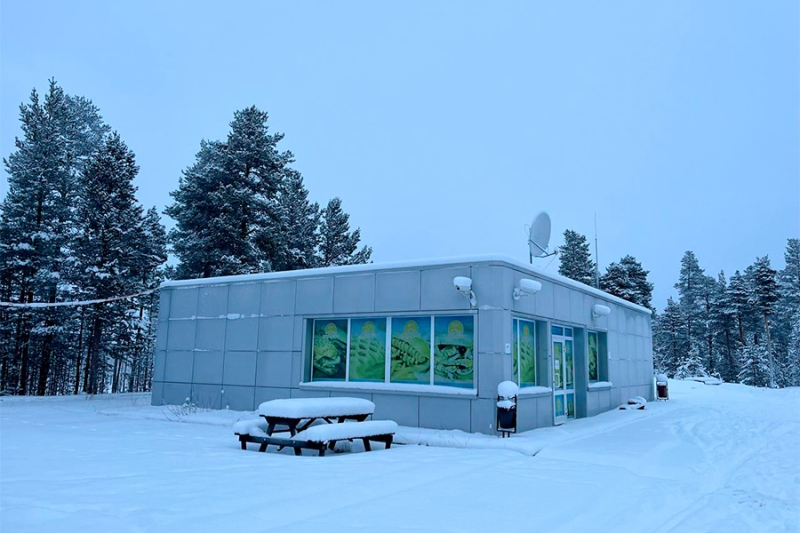 «Последнее окно»: как мигранты пытались попасть в ЕС через Заполярье