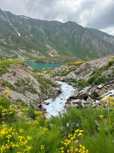 Последние перед задержанием кадры с Павлом Дуровым