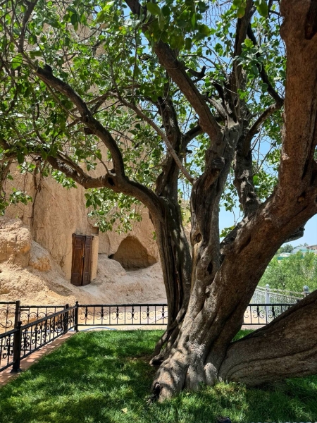 Последние перед задержанием кадры с Павлом Дуровым