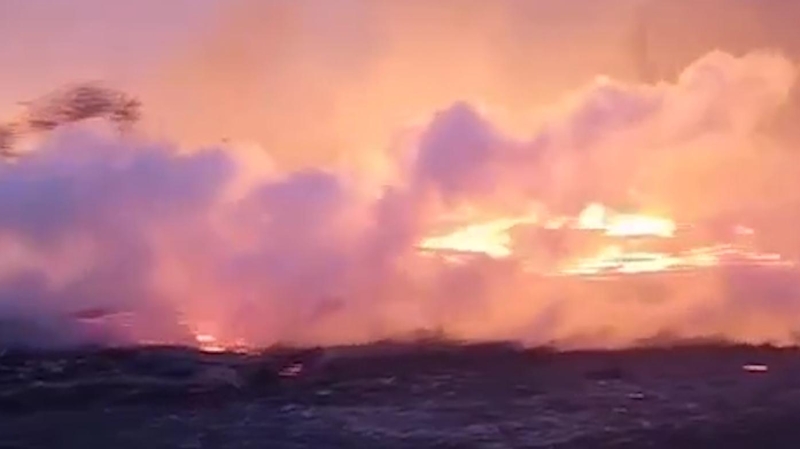 Последствия крупных пожаров в Курганской области. Видео