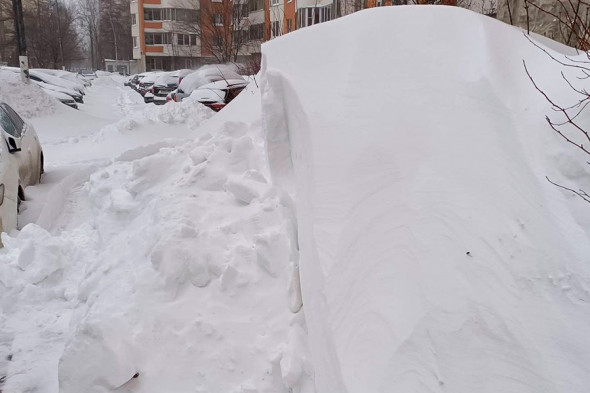 Последствия снегопада в Москве. Фоторепортаж