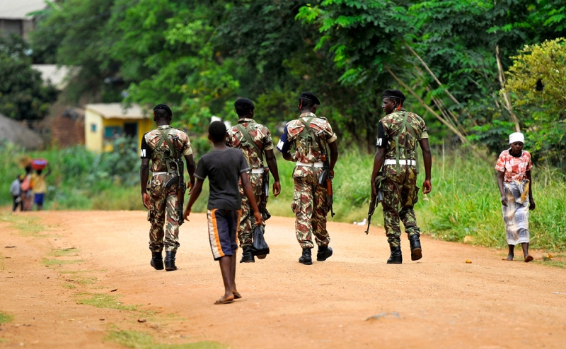 Посол назвал виновных в гибели российских журналистов в ЦАР