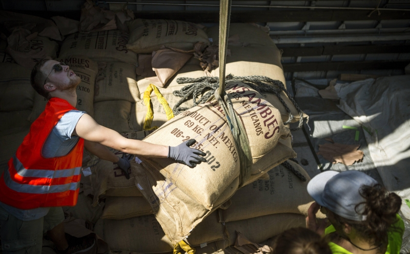 Посол сообщил о готовности Эфиопии нарастить поставки кофе в Россию