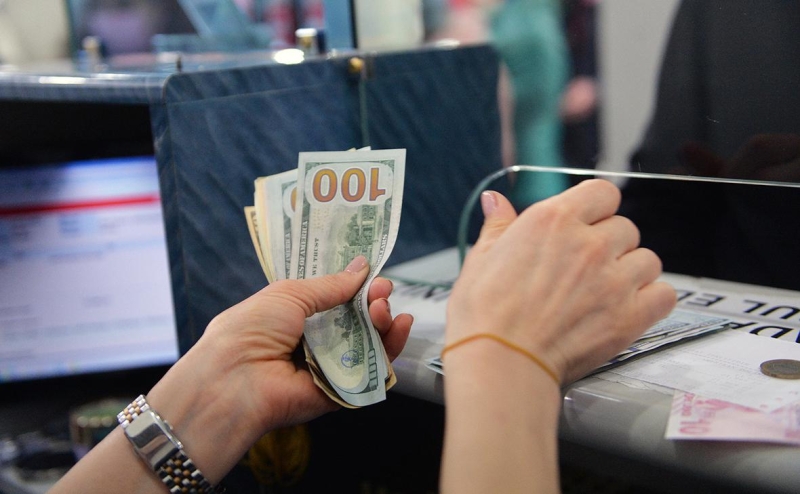 Посольство России оценило ситуацию с обменом старых долларов в Турции