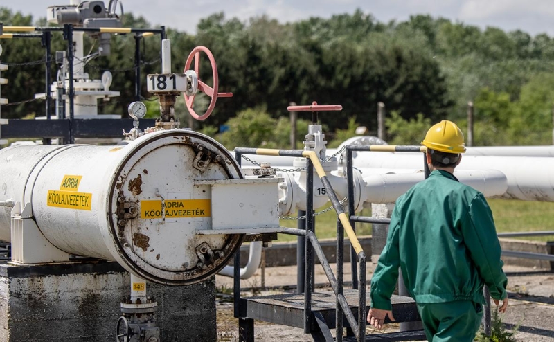 Поставки российской нефти в Венгрию по «Дружбе» возобновились