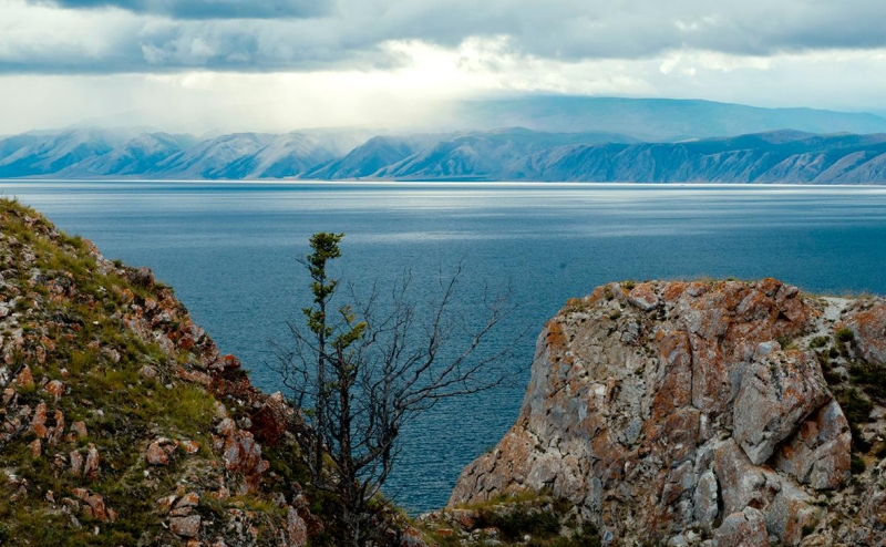 Правительство одобрило проект закона о рубках на Байкале