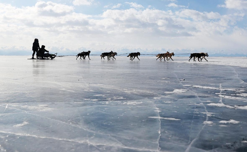 Правительство одобрило проект закона о рубках на Байкале