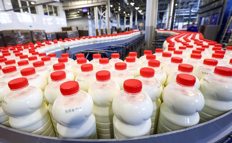 Правительство одобрило запрет &laquo;зеленых&raquo; продуктов без подтверждения