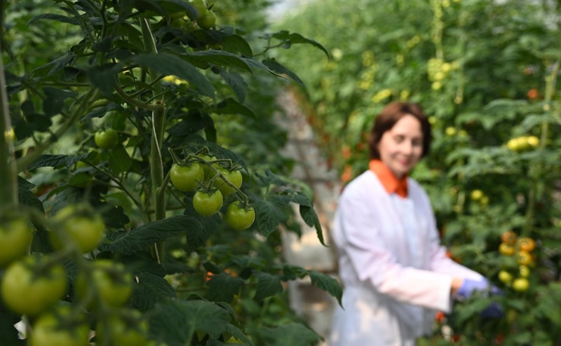 Правительство определило, кто получит льготу по страховым взносам