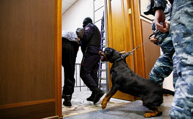 Правительство поддержало отказ от ареста беременных и отцов-одиночек