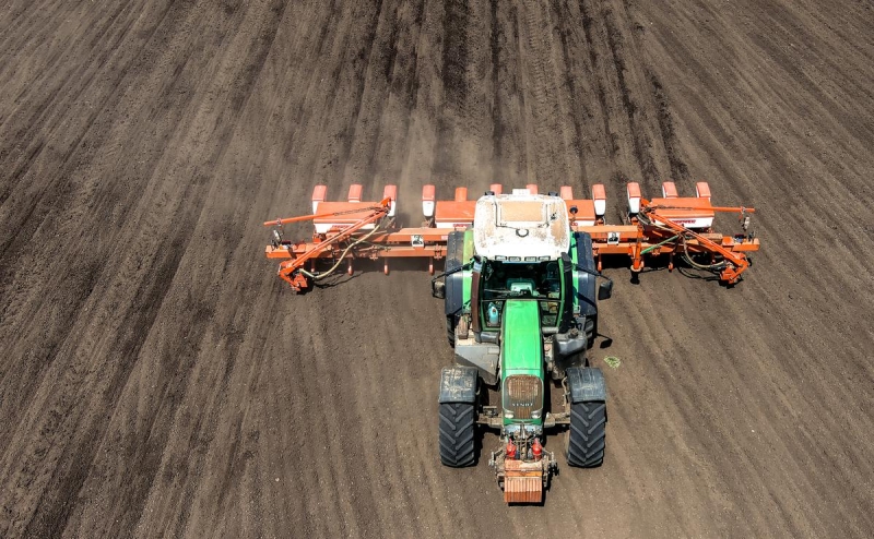 Правительство предложило ограничить ввоз иностранных семян