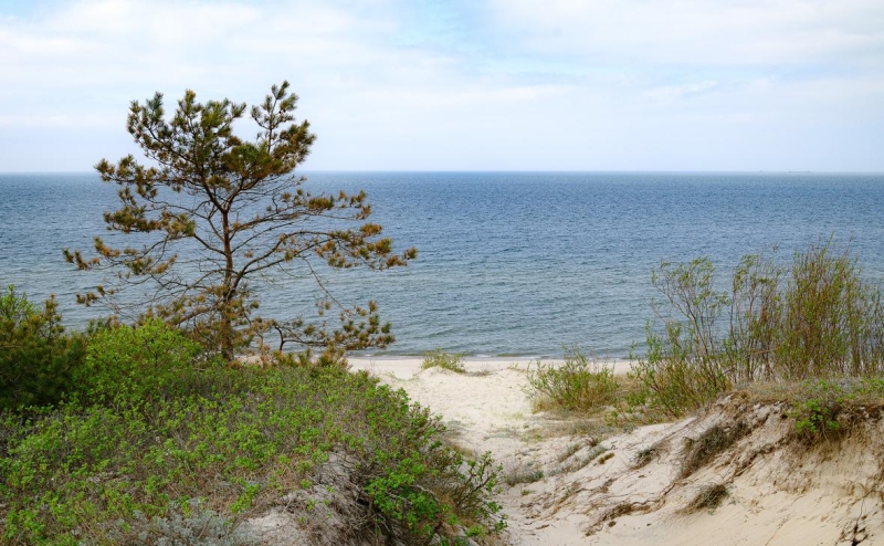 Правительство России утвердило границы территориального моря на