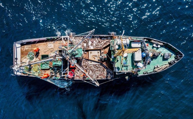 Правительству рекомендовали расширить закупки рыбы для школьников и