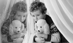 Представитель Зеленского опроверг его решение посетить саммит G20