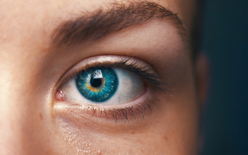 Президент Казахстана приказал открывать огонь без предупреждения