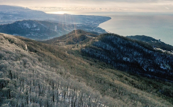 При столкновении двух трамваев в центре Страсбурга пострадали 20