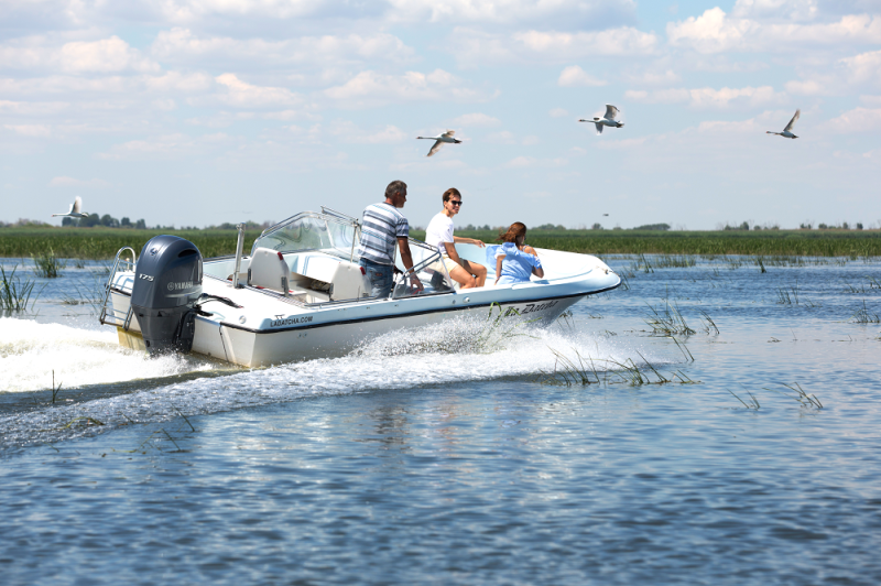 Приватную виллу Тинькова купила птицефабрика &laquo;Акашевская&raquo;