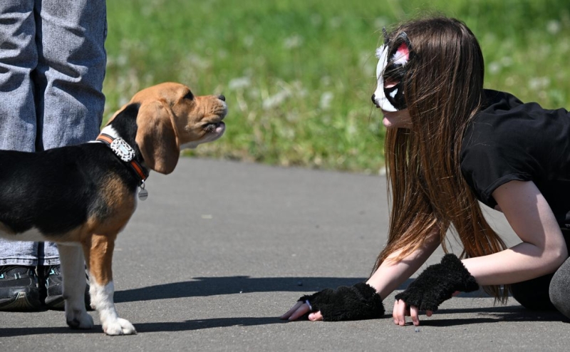 Продажи аналогов ушедшего из России «Оземпика» превзошли оригинал