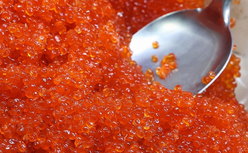 Продажи щучьей икры выросли в семь раз при снижении улова щуки