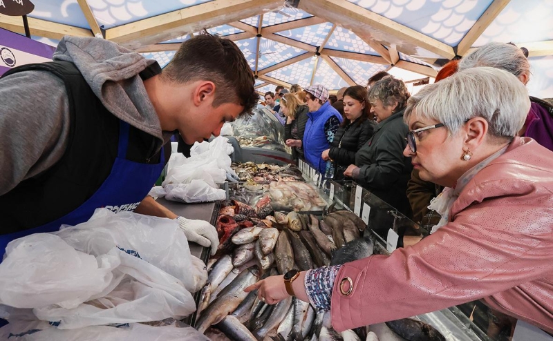 Продажи щучьей икры выросли в семь раз при снижении улова щуки