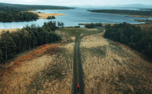 Продуктовая сеть «Магнит» впервые запустит франшизу