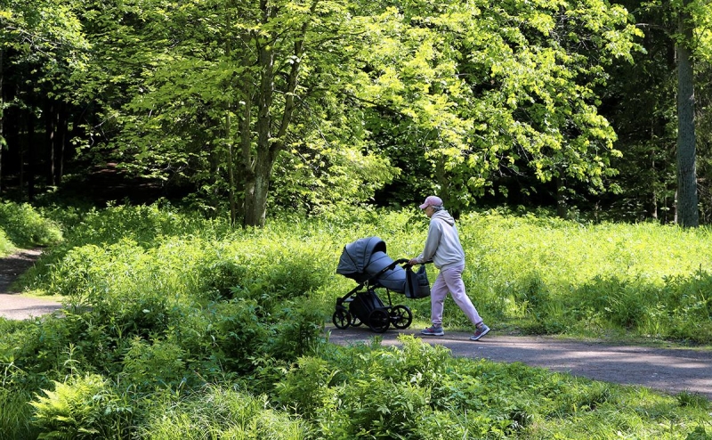 Профсоюзы назвали основные нарушения трудовых прав женщин в России