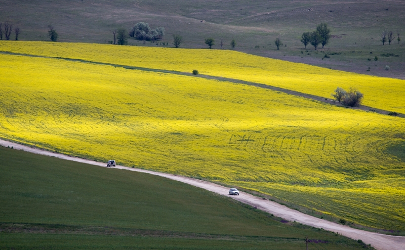 Производитель багетов предупредил торговые сети о повышении цен на хлеб