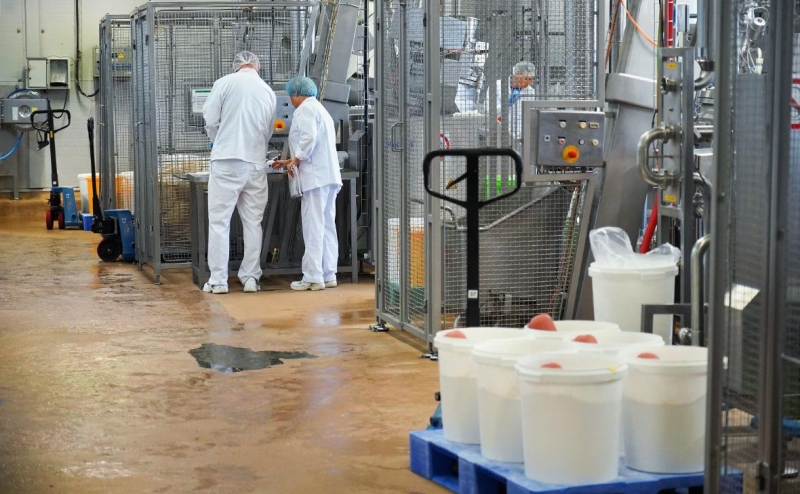 Производитель Viola подал в суд на ФАС из-за йогуртов конкурента