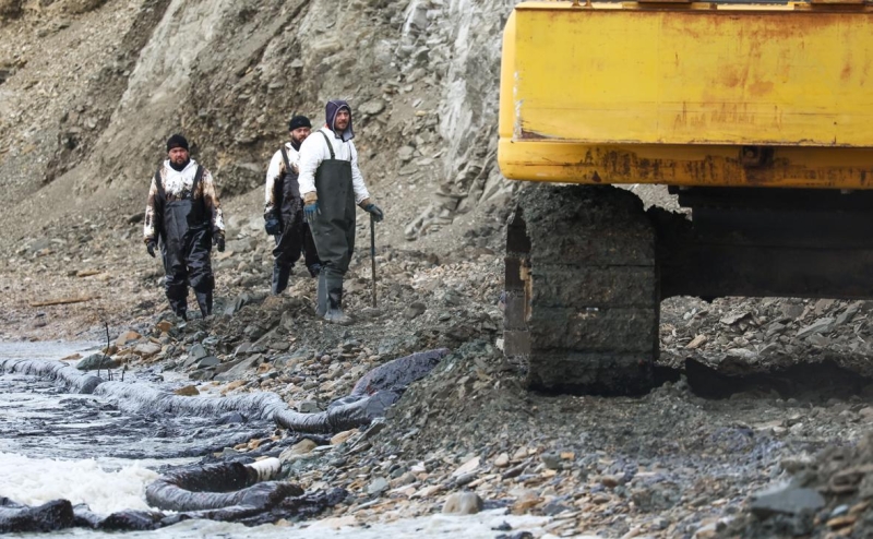 Производители мидий и устриц заявили об отсутствии рисков из-за мазута