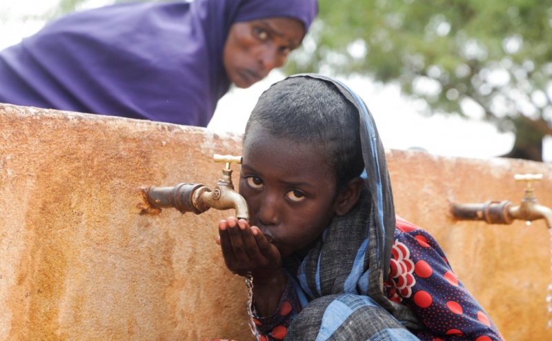 Производители предупредили о росте цен на хумус в мире на 20%