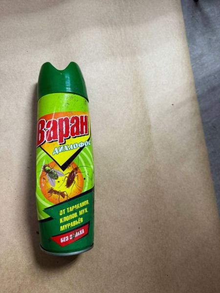 Производителя дихлофоса допросили после отравления семьи под