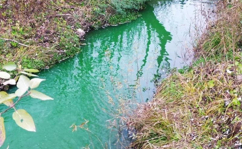 Прокуратура в Перми начала проверку после окрашивания рек в зеленый цвет