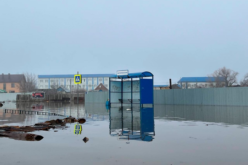 &laquo;Просто наблюдаем и поверить не можем&raquo;. Как в Оренбурге ждут