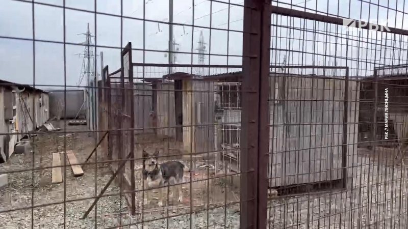 &laquo;Просто наблюдаем и поверить не можем&raquo;. Как в Оренбурге ждут