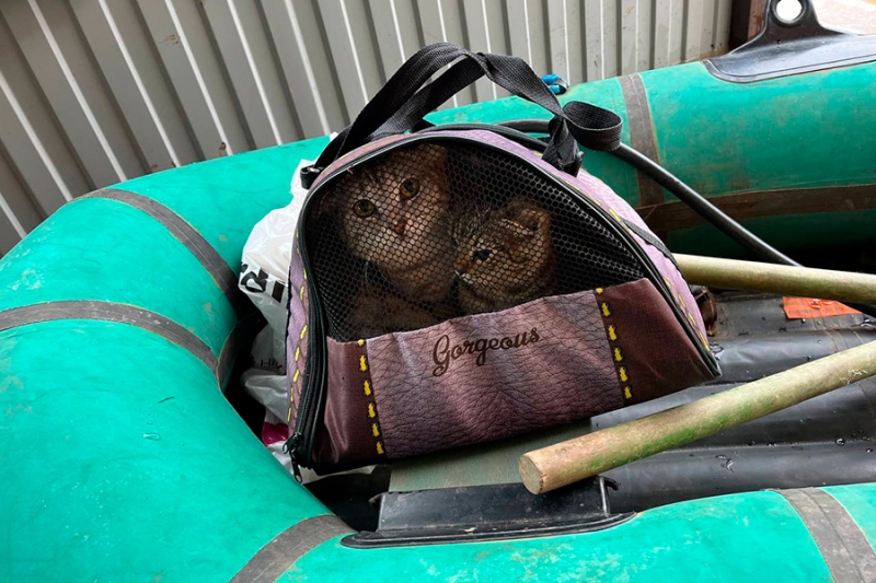 &laquo;Просто наблюдаем и поверить не можем&raquo;. Как в Оренбурге ждут