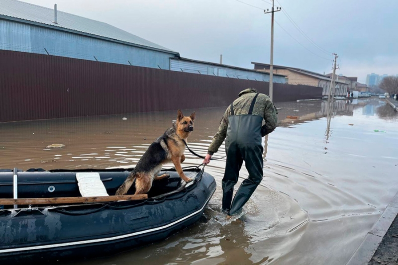 &laquo;Просто наблюдаем и поверить не можем&raquo;. Как в Оренбурге ждут