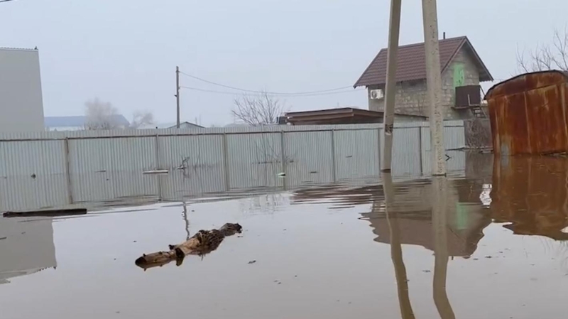 &laquo;Просто наблюдаем и поверить не можем&raquo;. Как в Оренбурге ждут