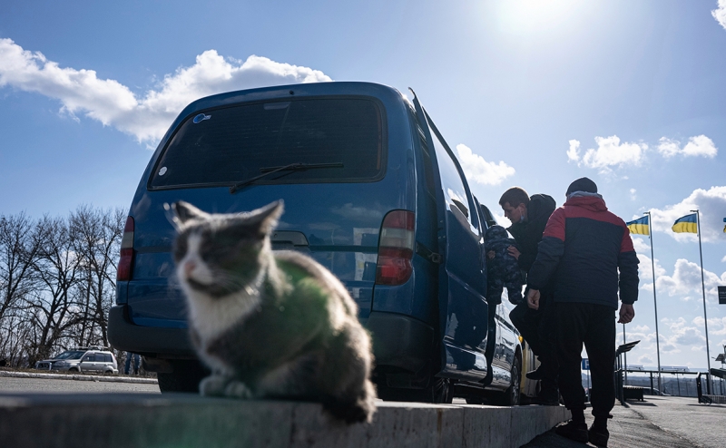 Путеводитель по санкциям и ограничениям против России. Главное