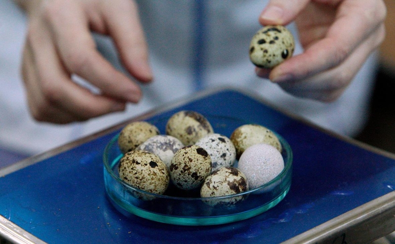 Путин наградил космонавтов «бауманского» экипажа