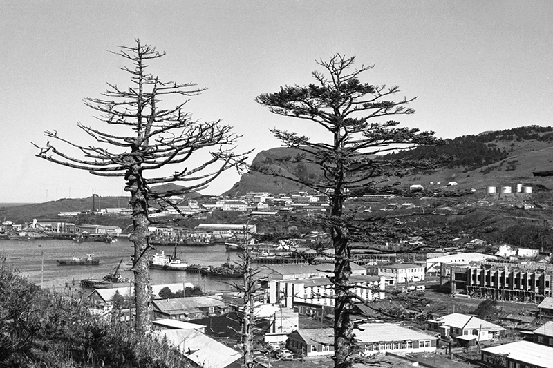 Путин объявил о «беспрецедентном» налоговом режиме для бизнеса на Курилах