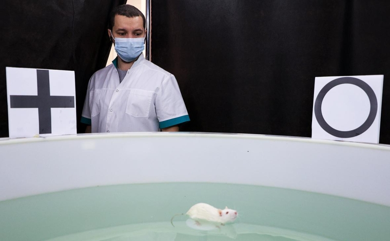 Путин призвал убрать архаичные образовательные программы из вузов