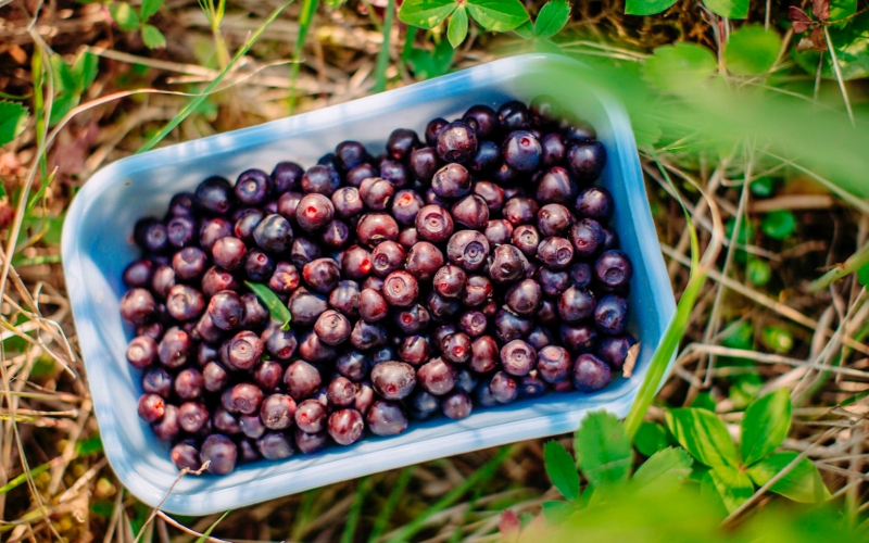 Путин разрешил полиции вскрывать машины