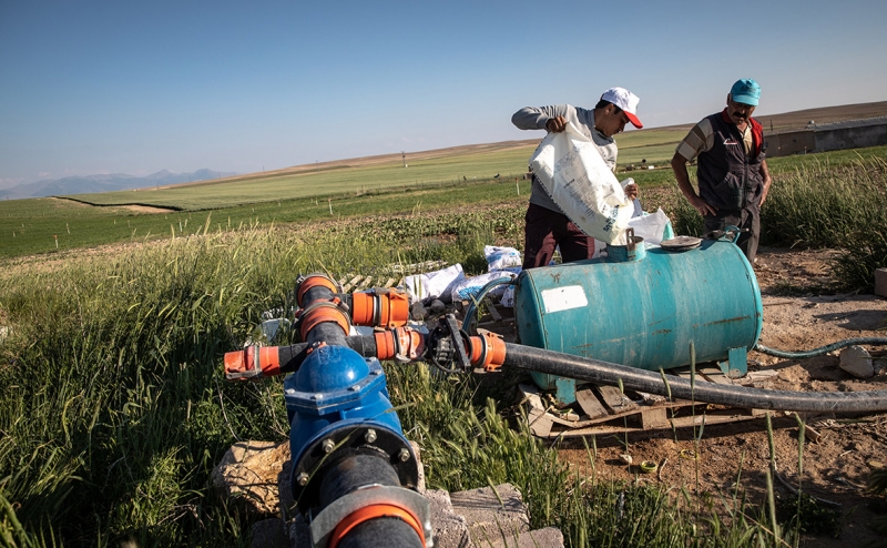 Путин заявил, что удобрения «будут брать» за рубежом из-за дефицита