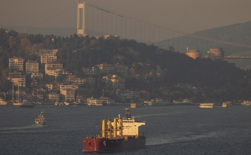 Путин заявил Эрдогану о готовности к переговорам по зерновой сделке