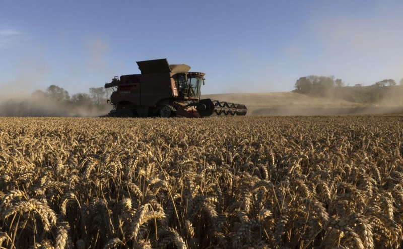 Путин заявил о готовности России заместить поставки зерна с Украины