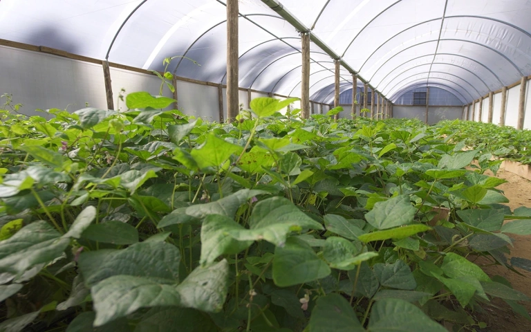 Рада провалила голосование по заявлению о полномочиях Зеленского