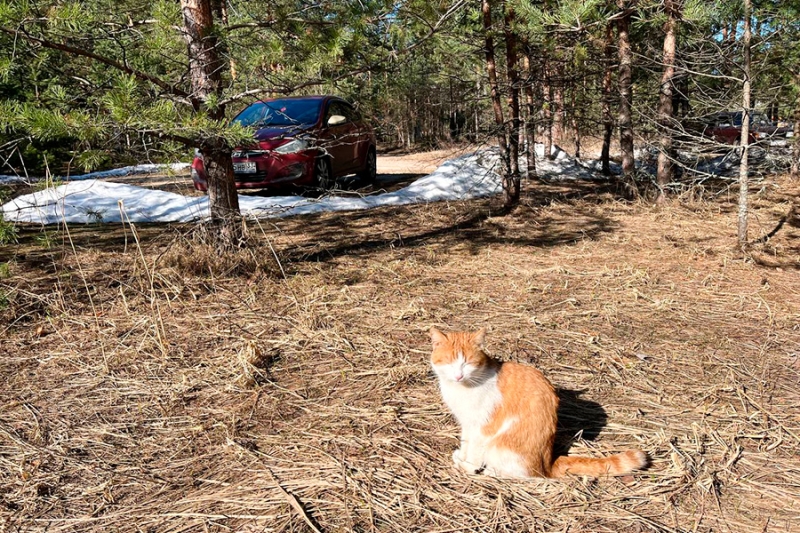 Репортаж РБК с улиц Владимира, где рос главком ВСУ Александр Сырский
